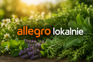 allegro lokalnie